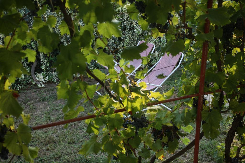 Kucica Ljubcek Villa Privlaka  Habitación foto
